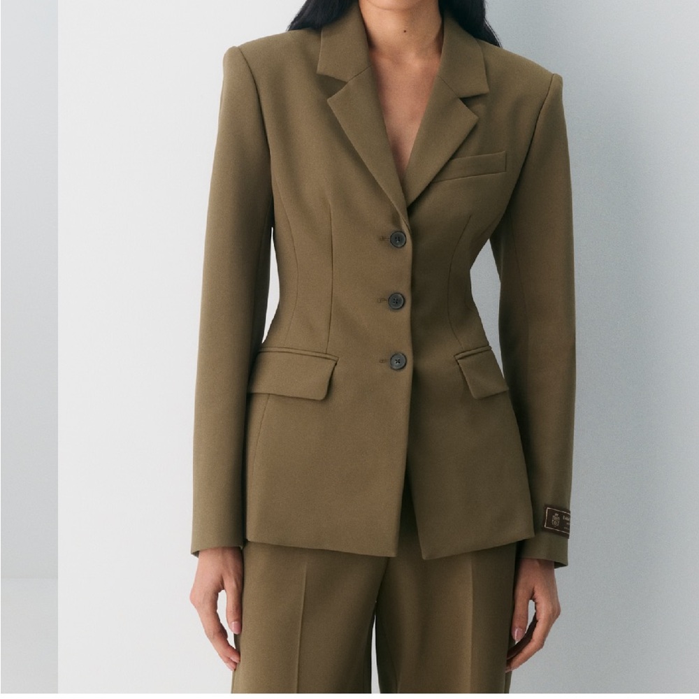 Aritzia Babaton Standout Blazer
